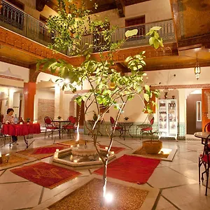 Atlas Acacia *** Marrakesh